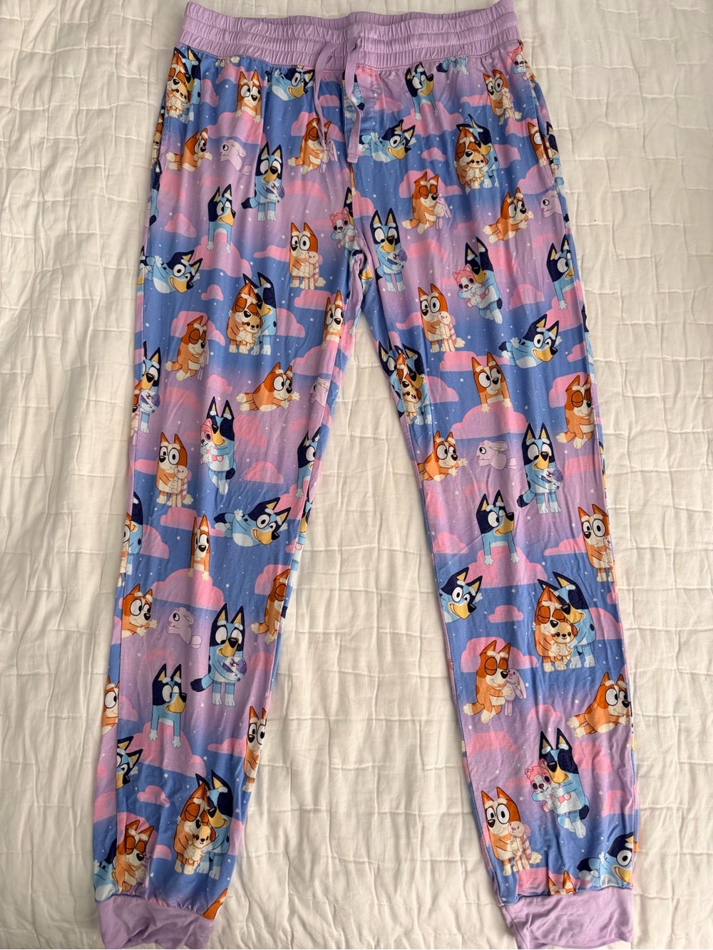 Little Sleepies Bluey Pajama Pants Size Medium